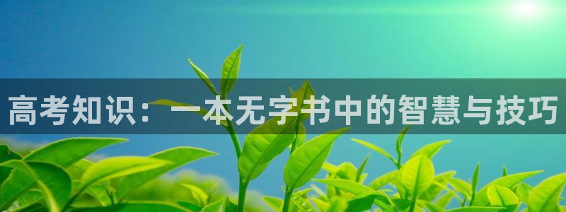 盗墓笔记小说趣笔阁：高考知识：一本无字书中的智慧与技巧