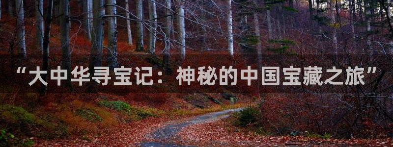 阿宾正传1—72与钰慧趣笔阁txt：“大中华寻宝记：神秘的中国宝藏之旅”