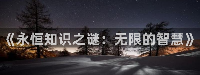 圣墟趣笔阁：《永恒知识之谜：无限的智慧》