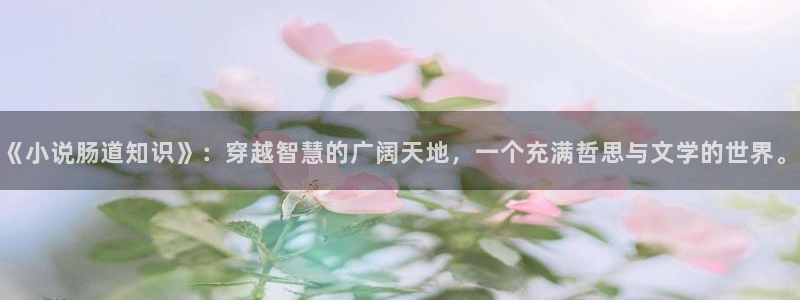 趣笔阁辣文：《小说肠道知识》：穿越智慧的广阔天地，一个充满哲思与文学的世界。