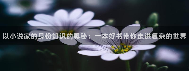 阿宾正传趣笔阁庆仔：以小说家的身份知识的奥秘：一本好书带你走进复杂的世界