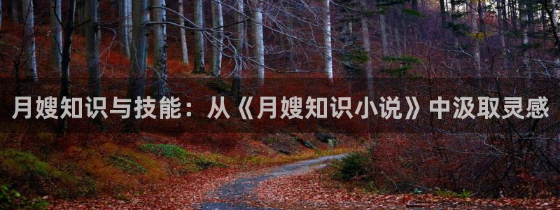 斗破苍穹小说趣笔阁：月嫂知识与技能：从《月嫂知识小说》中汲取灵感