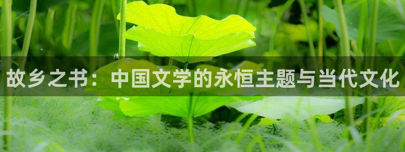 趣笔阁下载：故乡之书：中国文学的永恒主题与当代文化
