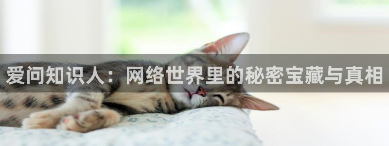 陈浩叶倾城趣笔阁