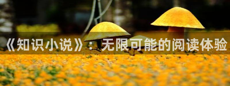 长日光阴似箭乱作一团趣笔阁：《知识小说》：无限可能的阅读体验